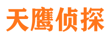 龙文侦探公司